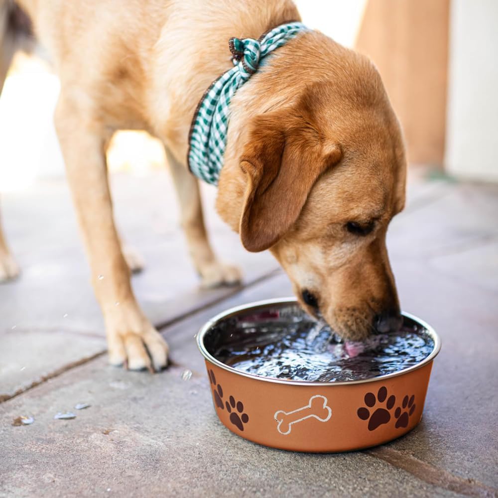 Medium Stainless Steel Dog Bowl, Non-Slip, Dishwasher Safe, Copper – 796 ml - Image 5