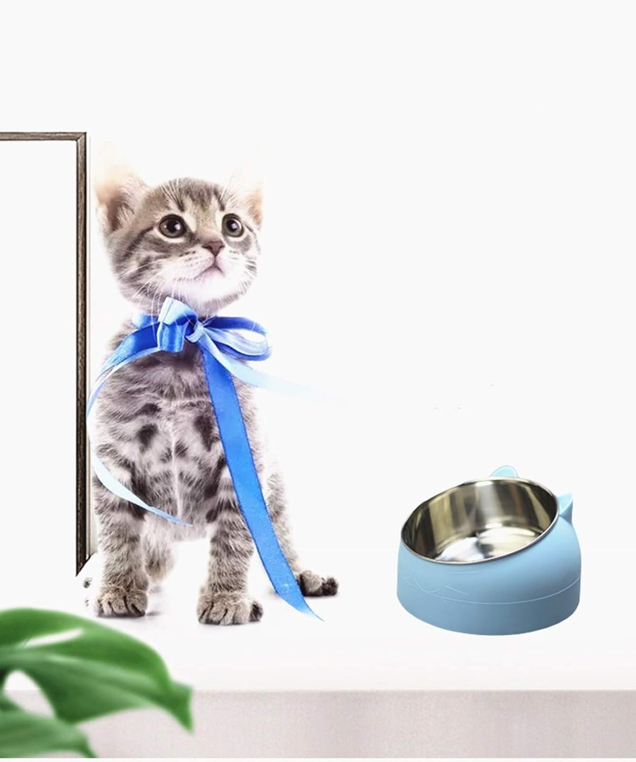 Stainless Steel Pet Cat Bowl 2-Pack, 200 ml, Black + White - Image 8