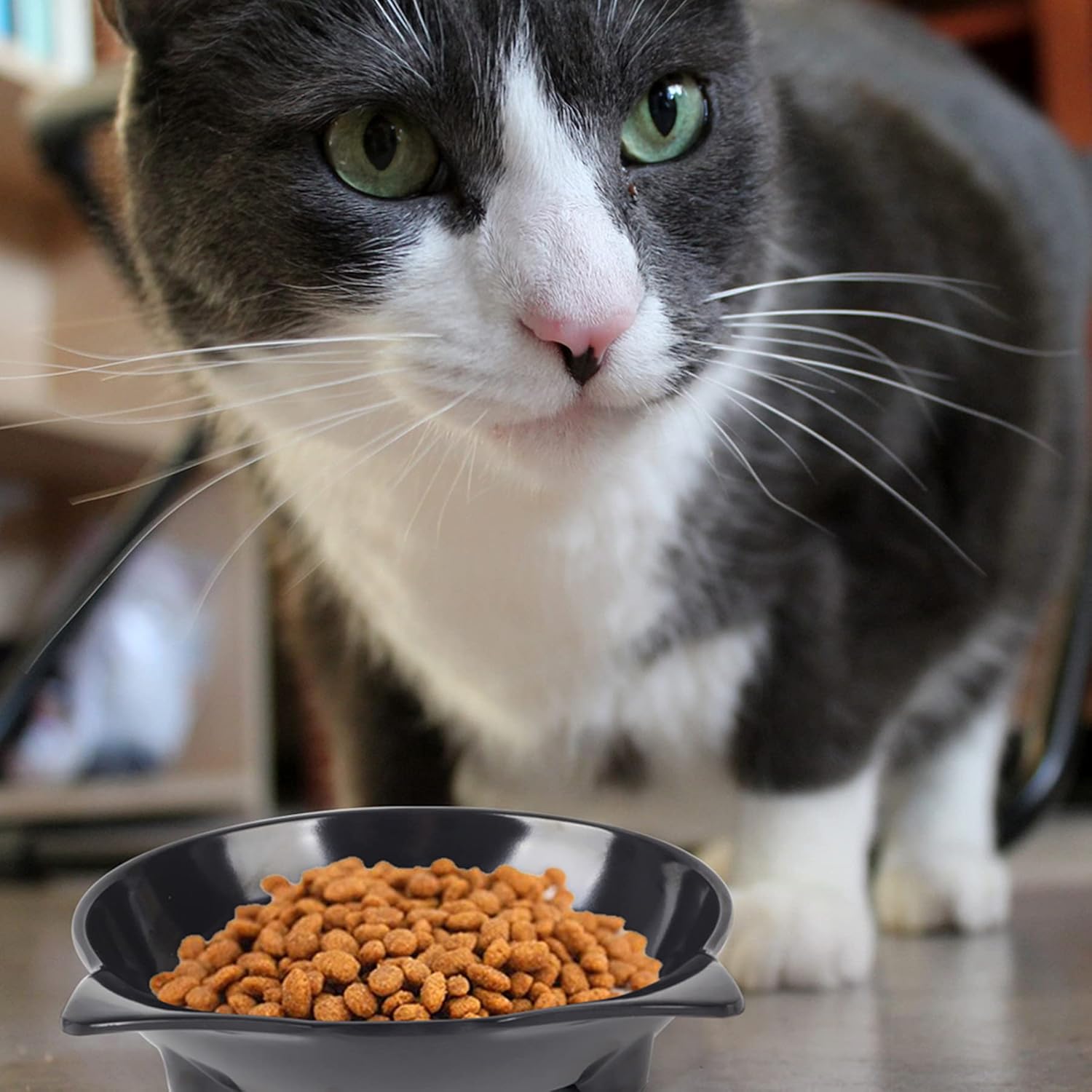 Cat Bowls, Anti-slip Multi-purpose Food and Water Bowl Set, 3-Pack - Grey/Black/White - Image 6