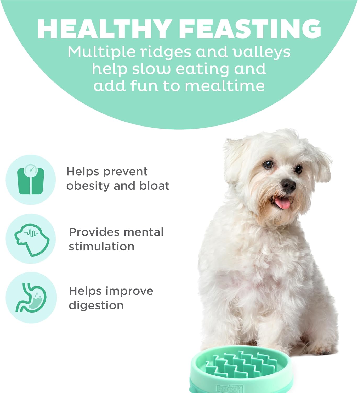 Small Slow Feeder Bowl for Puppies & Cats – Slows Eating, Slip Resistant, Durable (Mint) - Image 2