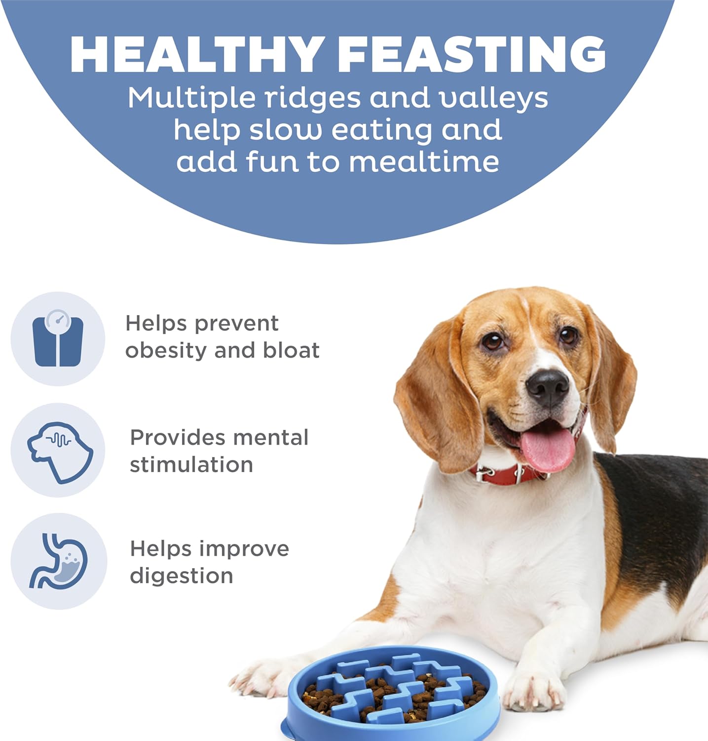 Slow Feeder Dog Bowl, Medium (Blue) - Slows Eating, Promotes Healthy Digestion, Slip Resistant - Image 2