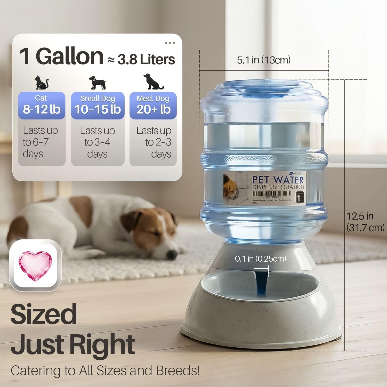 Automatic Dog Water Bowl Dispenser, 1 Gallon Gravity Pet Waterer - Image 5