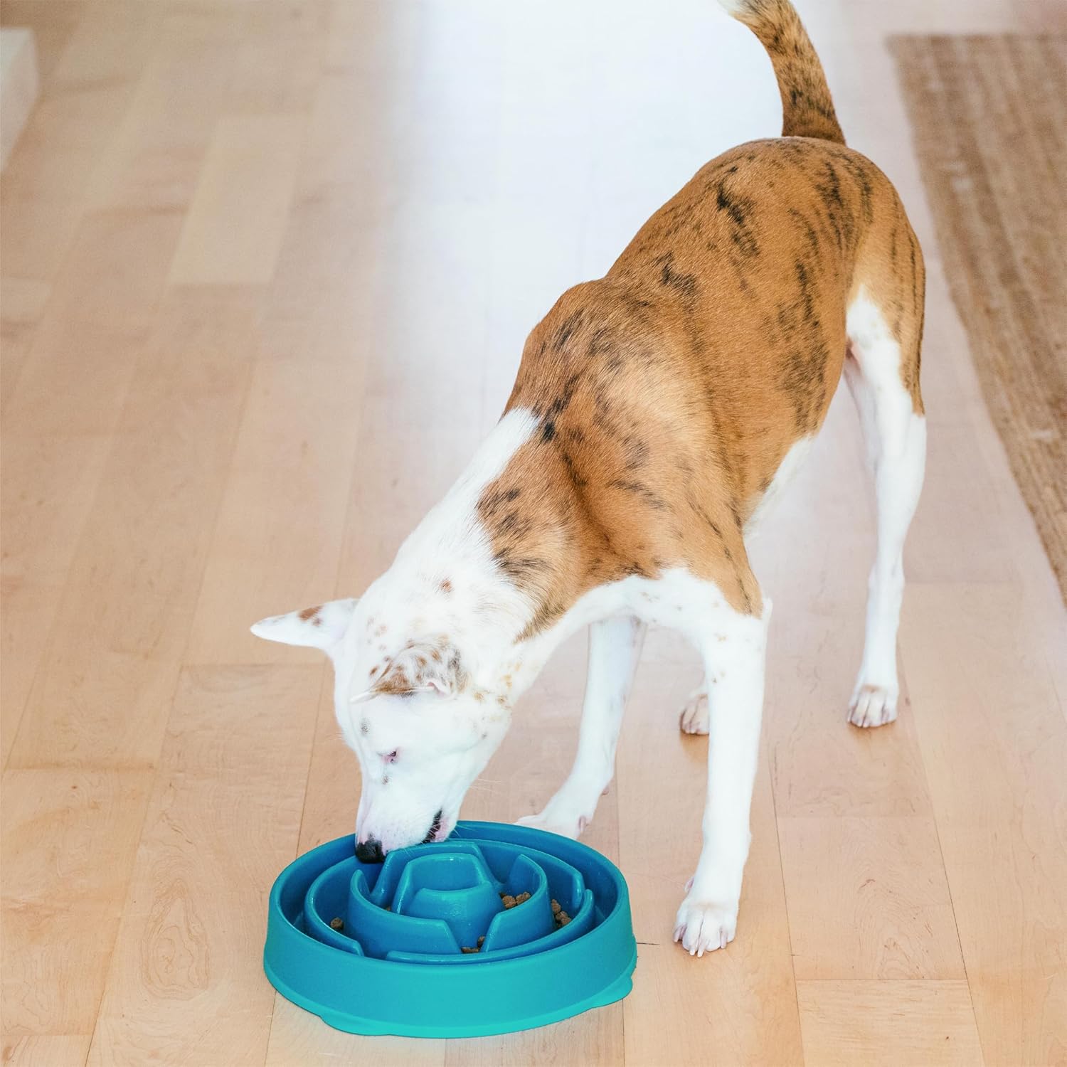 Slow Feeder Dog Bowl - Large, Slip Resistant, Durable Bowl for Food and Water (Turquoise) - Image 5