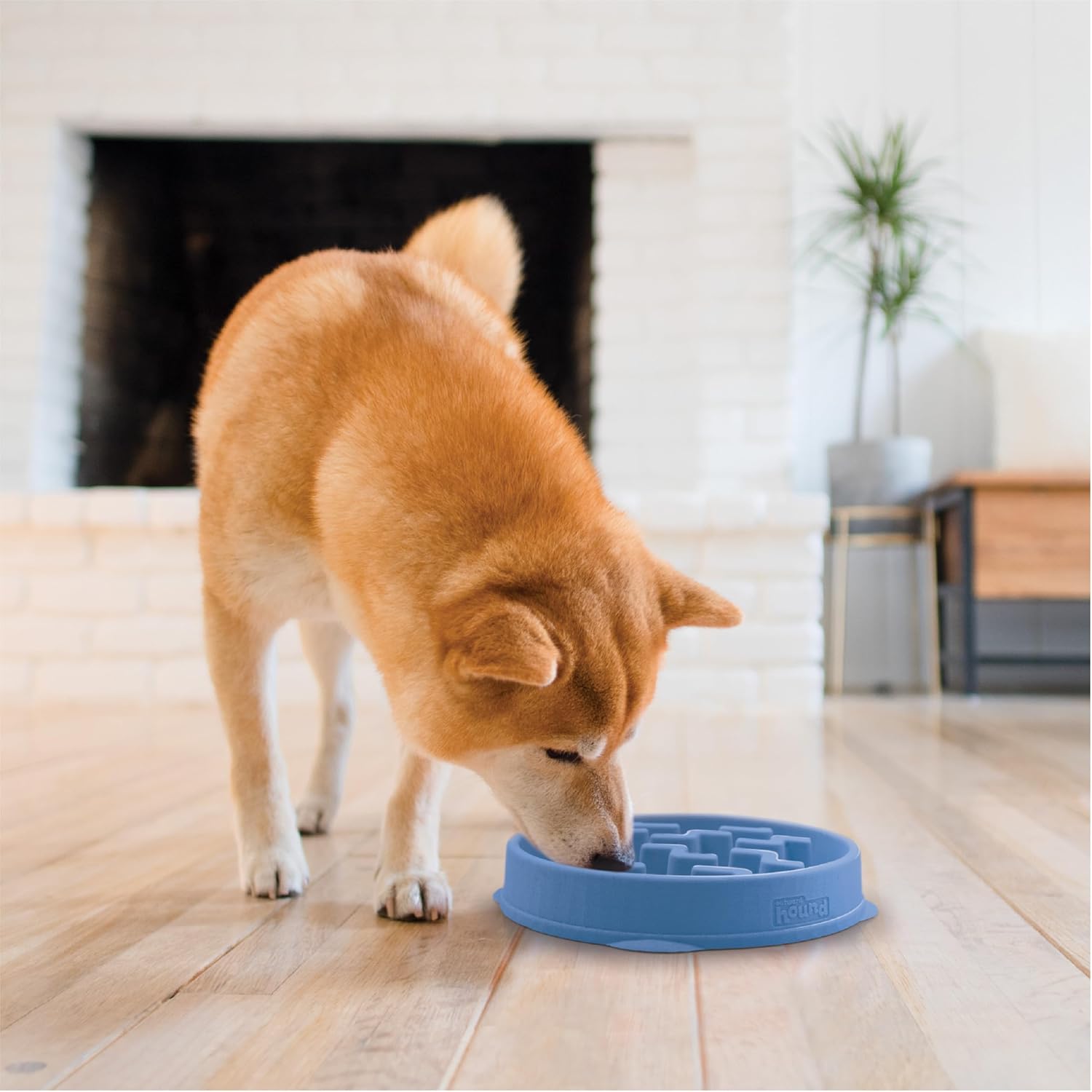 Slow Feeder Dog Bowl, Medium (Blue) - Slows Eating, Promotes Healthy Digestion, Slip Resistant - Image 5