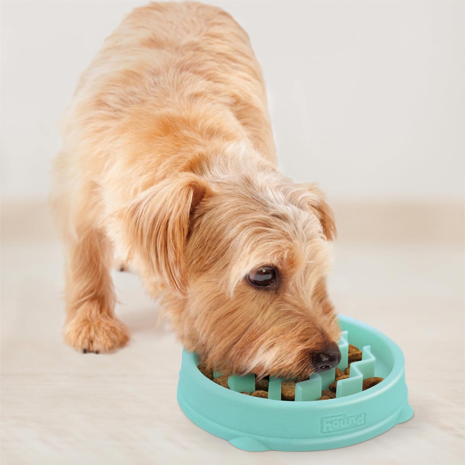 Small Slow Feeder Bowl for Puppies & Cats – Slows Eating, Slip Resistant, Durable (Mint) - Image 6