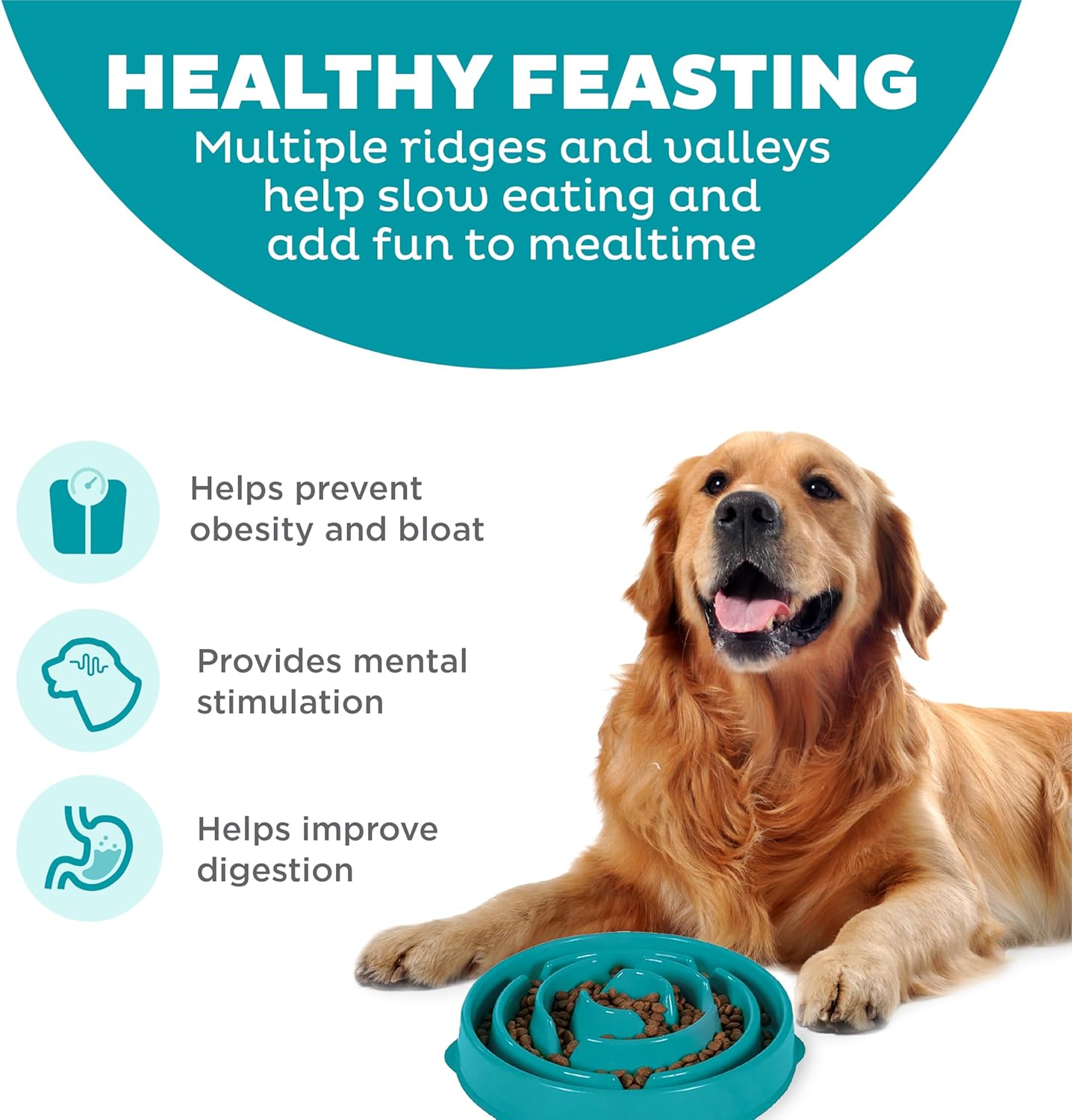 Slow Feeder Dog Bowl - Large, Slip Resistant, Durable Bowl for Food and Water (Turquoise) - Image 2