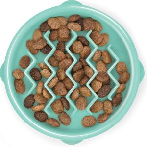 Small Slow Feeder Bowl for Puppies & Cats – Slows Eating, Slip Resistant, Durable (Mint)